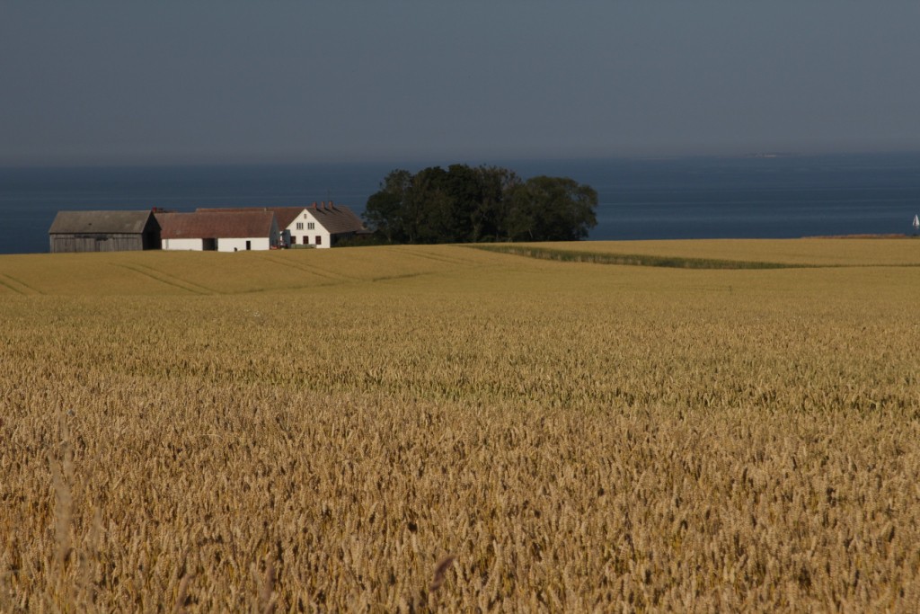 Bornholm obok gudhjem